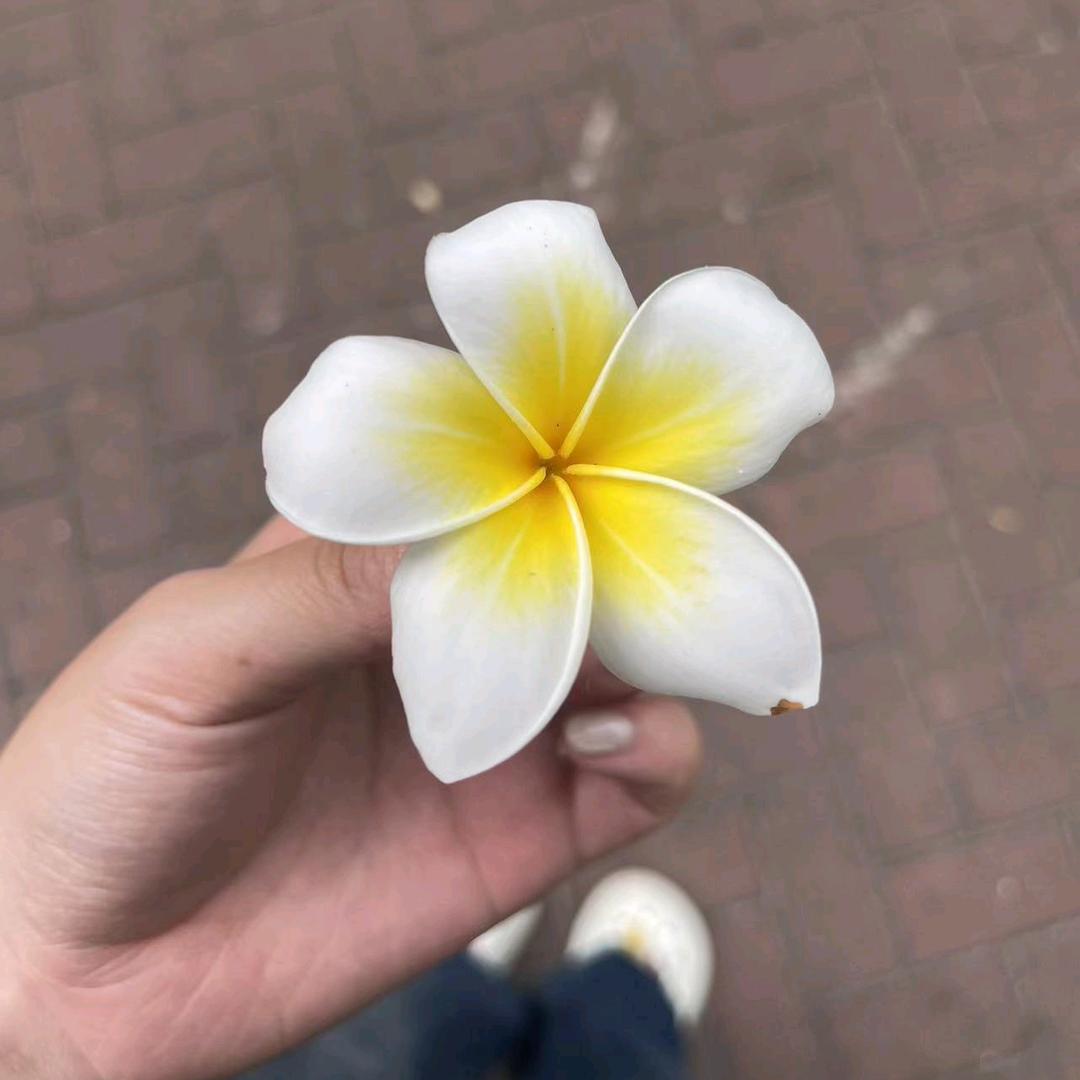 一朵无名花！