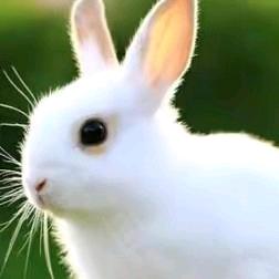 （2025）（心雨到来）（天天小妹）