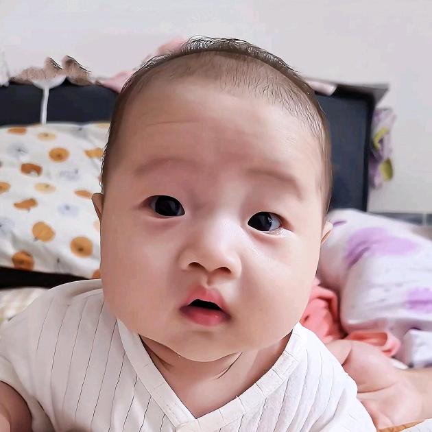 养只小晨晨
