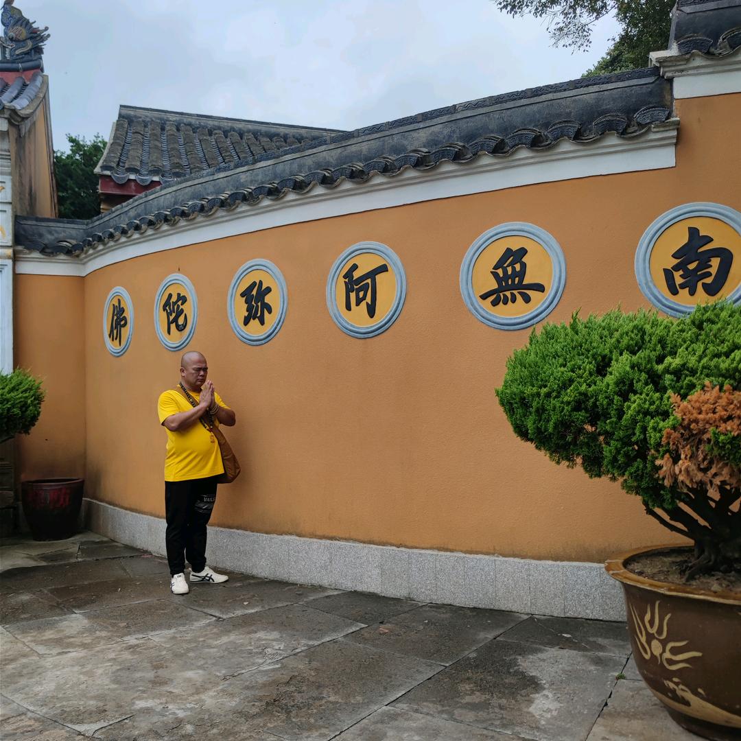 我的旧情人🌴