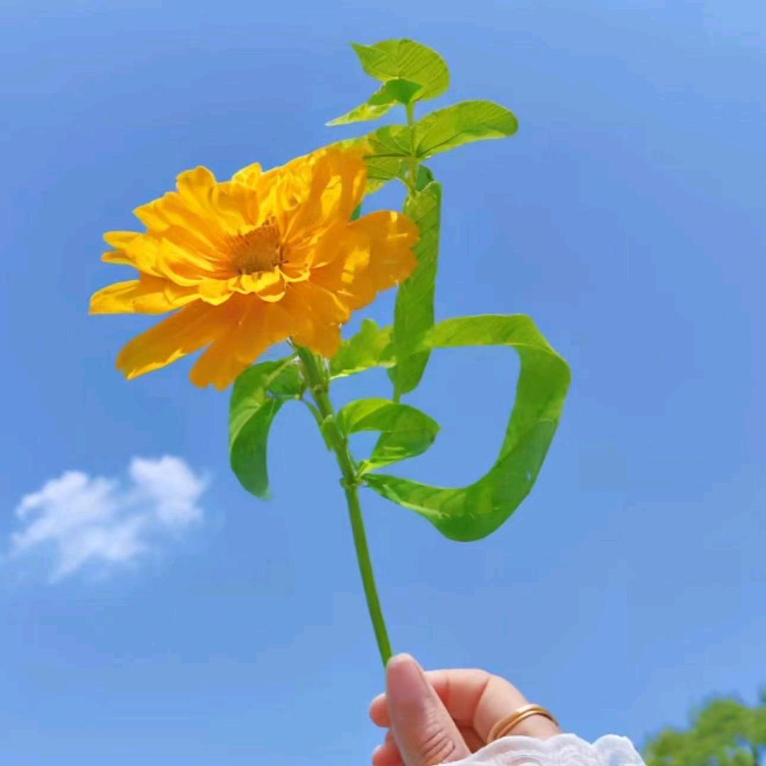 小🌶️辣🍇椒🍓🍅🍎🍎