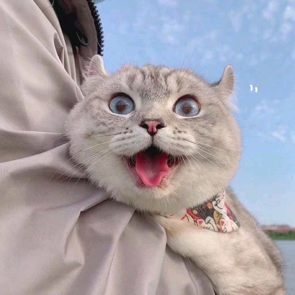 西夕柚🌈