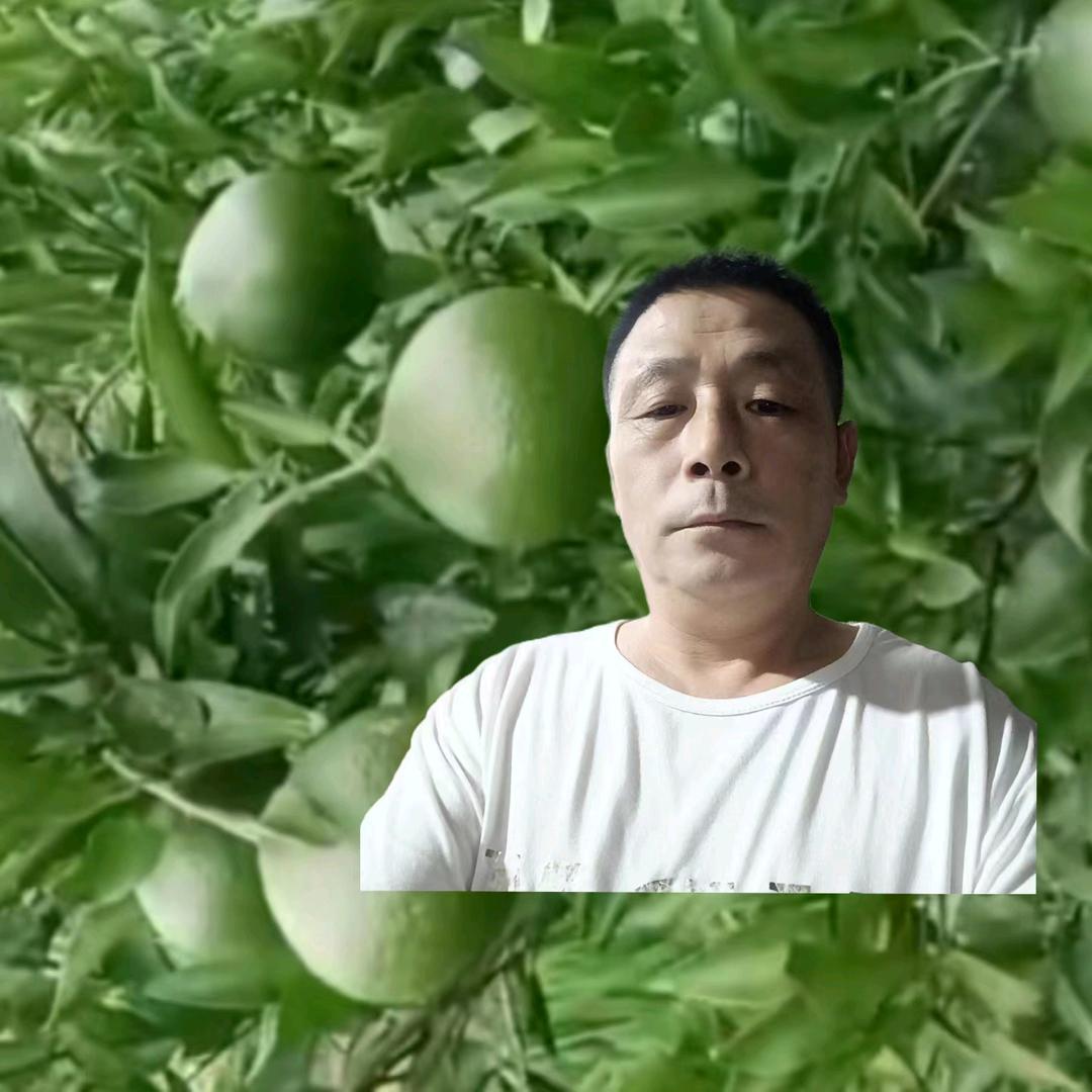 四川郑哥，每天下午7点半开播