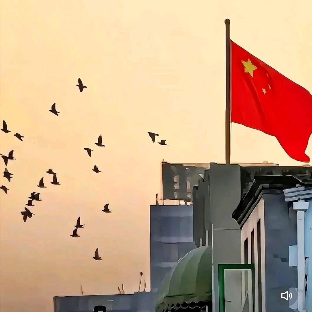 平凡的人生，照亮你我。