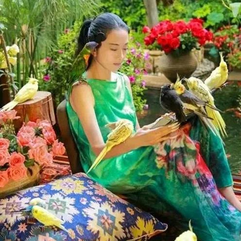 秋意浓