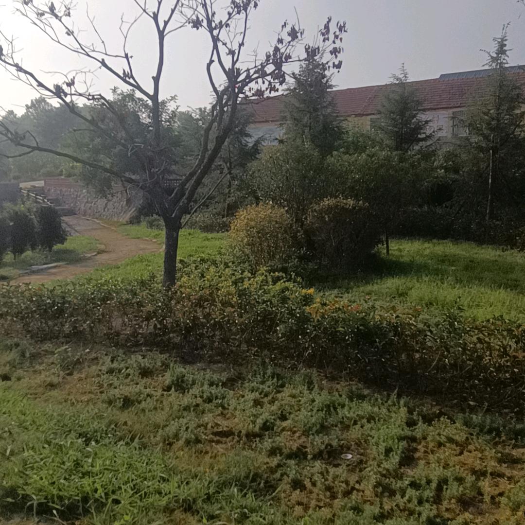 时来运转