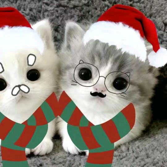 哈吉嗲大王（求发际线下移教程）