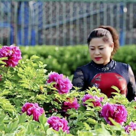 浪花