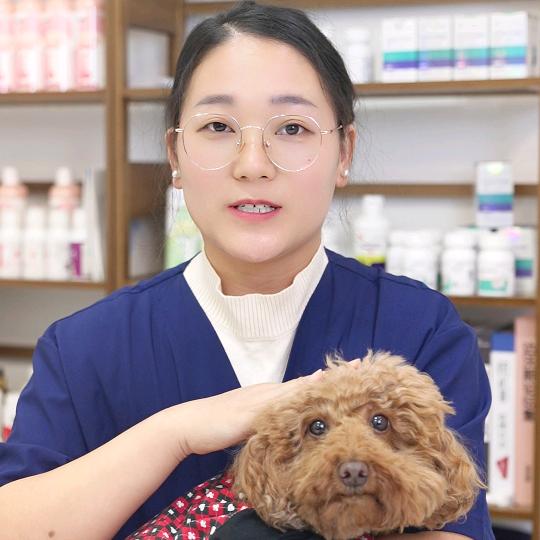 方方之汪星百科