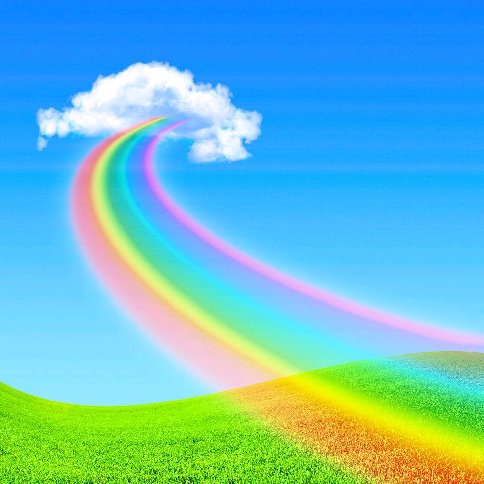 🌺🌈彩虹雨🌈🌺拒绝私聊