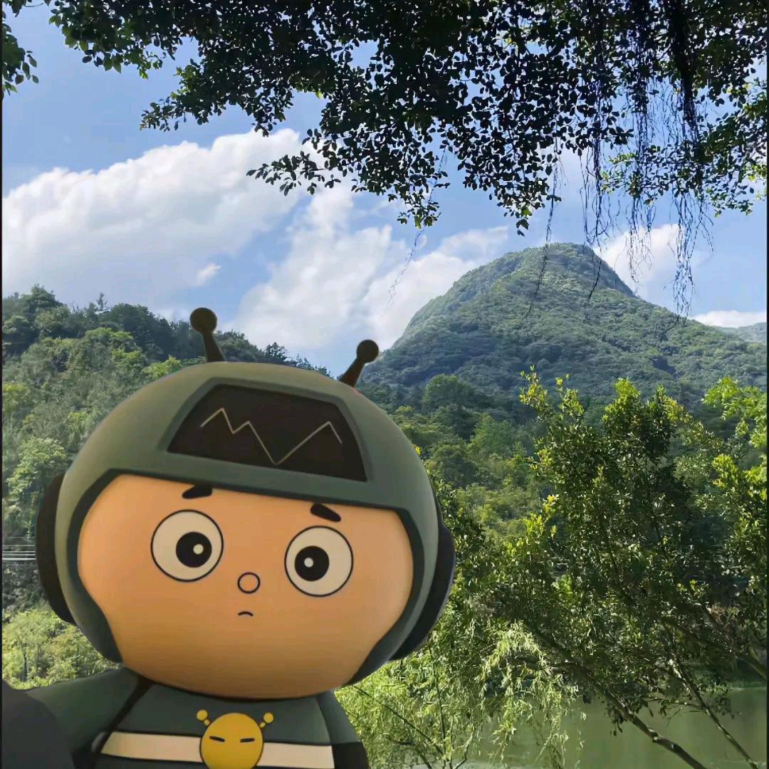 八斤