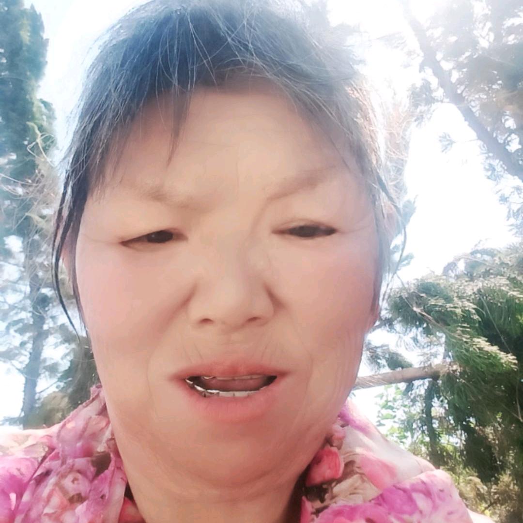 樱花姐