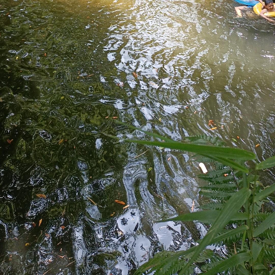 不专业的牧羊人