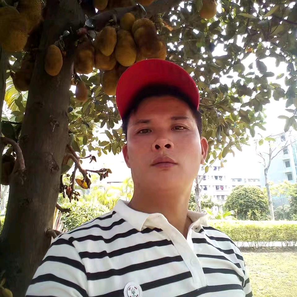 南方哥