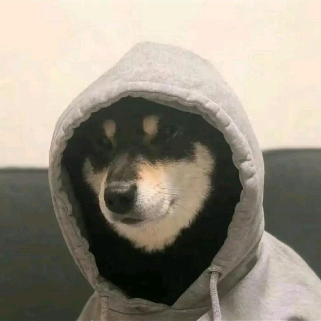 陪一个人去看海