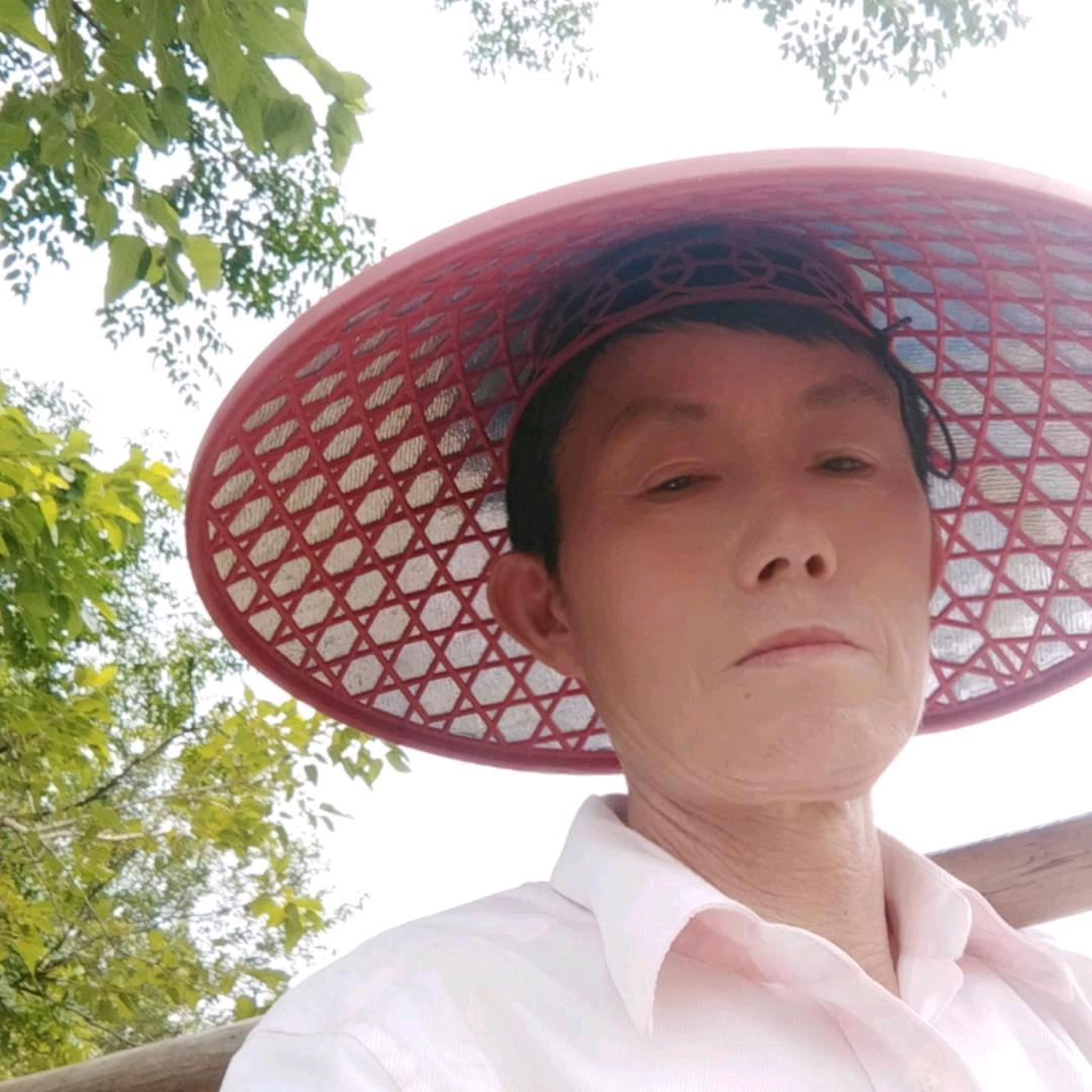 电摇大军