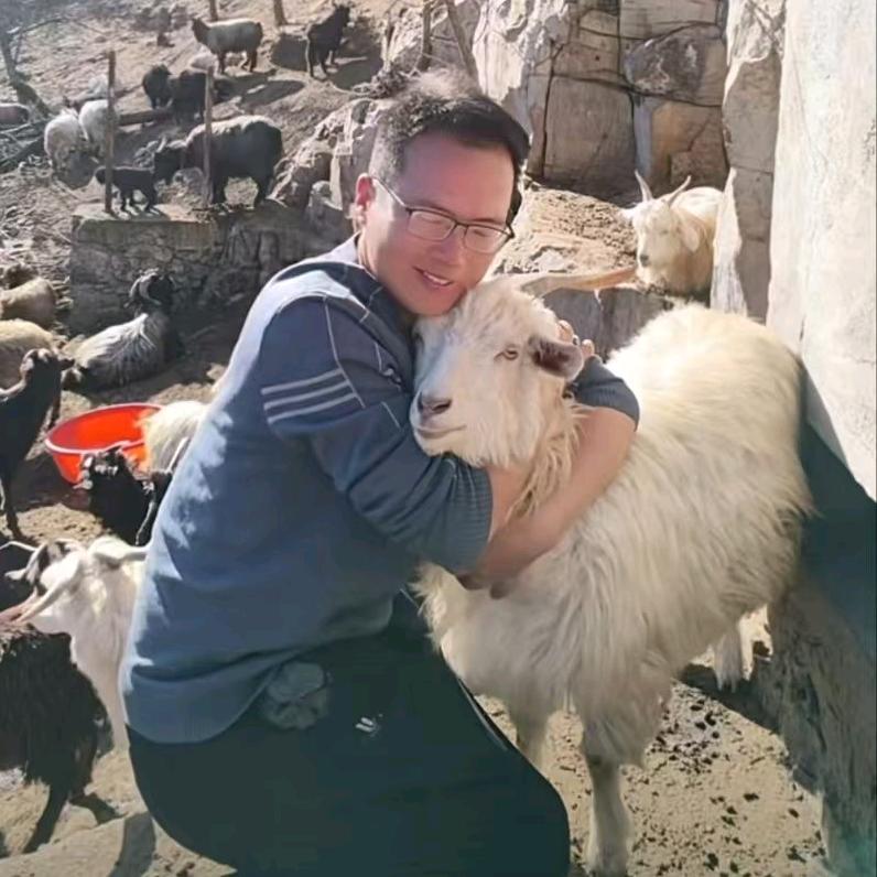 放羊君Ljh(山之羊版)