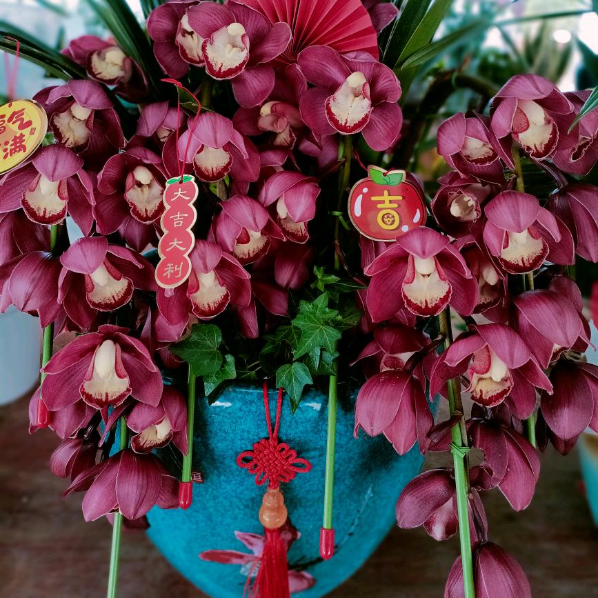 桃花岛植物园