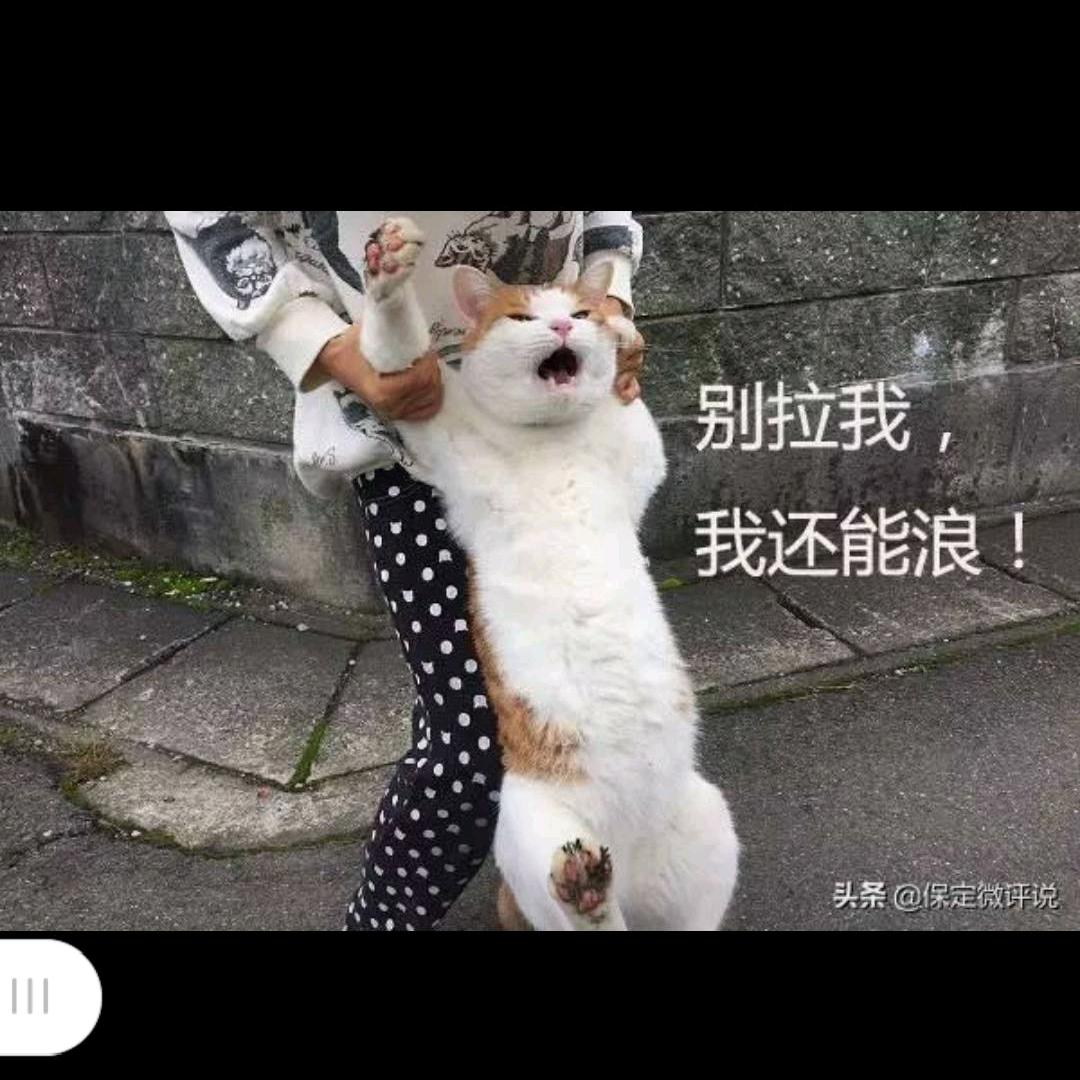 橙派