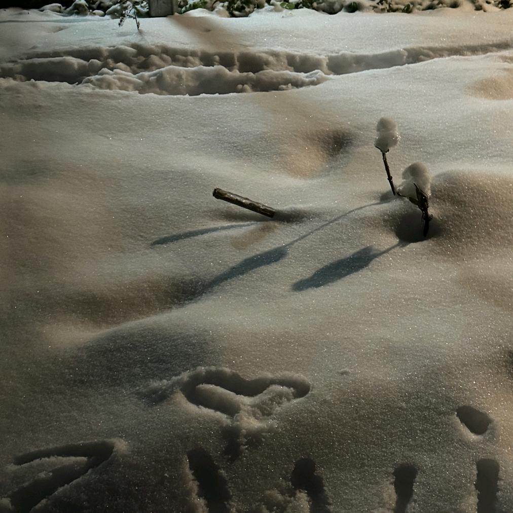冷酷的野球-¹🧋