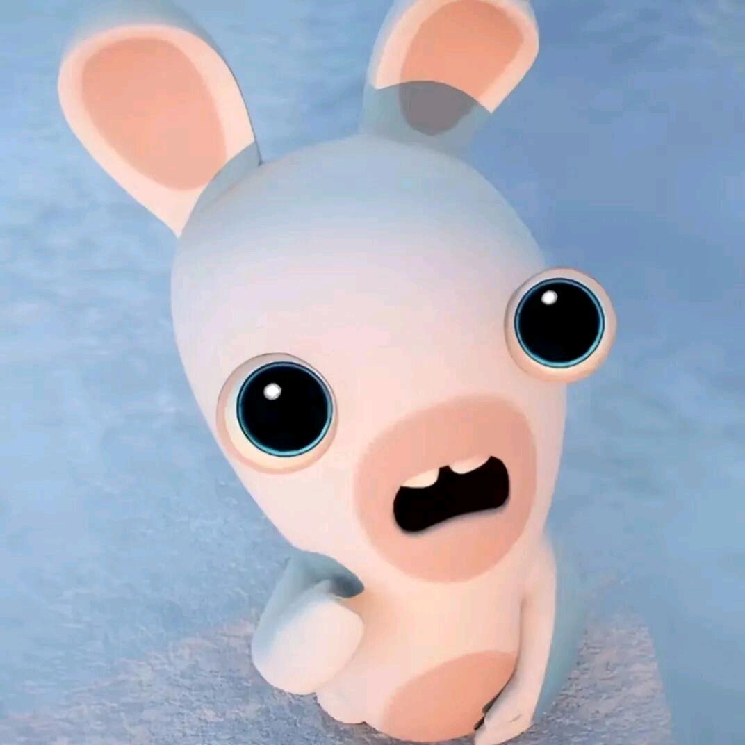 ㅤ ㅤ  ㅤ