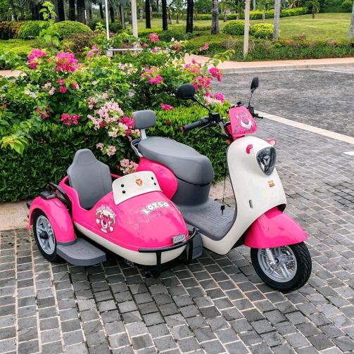 海棠湾春祥电动车租赁(恒大店)官方号