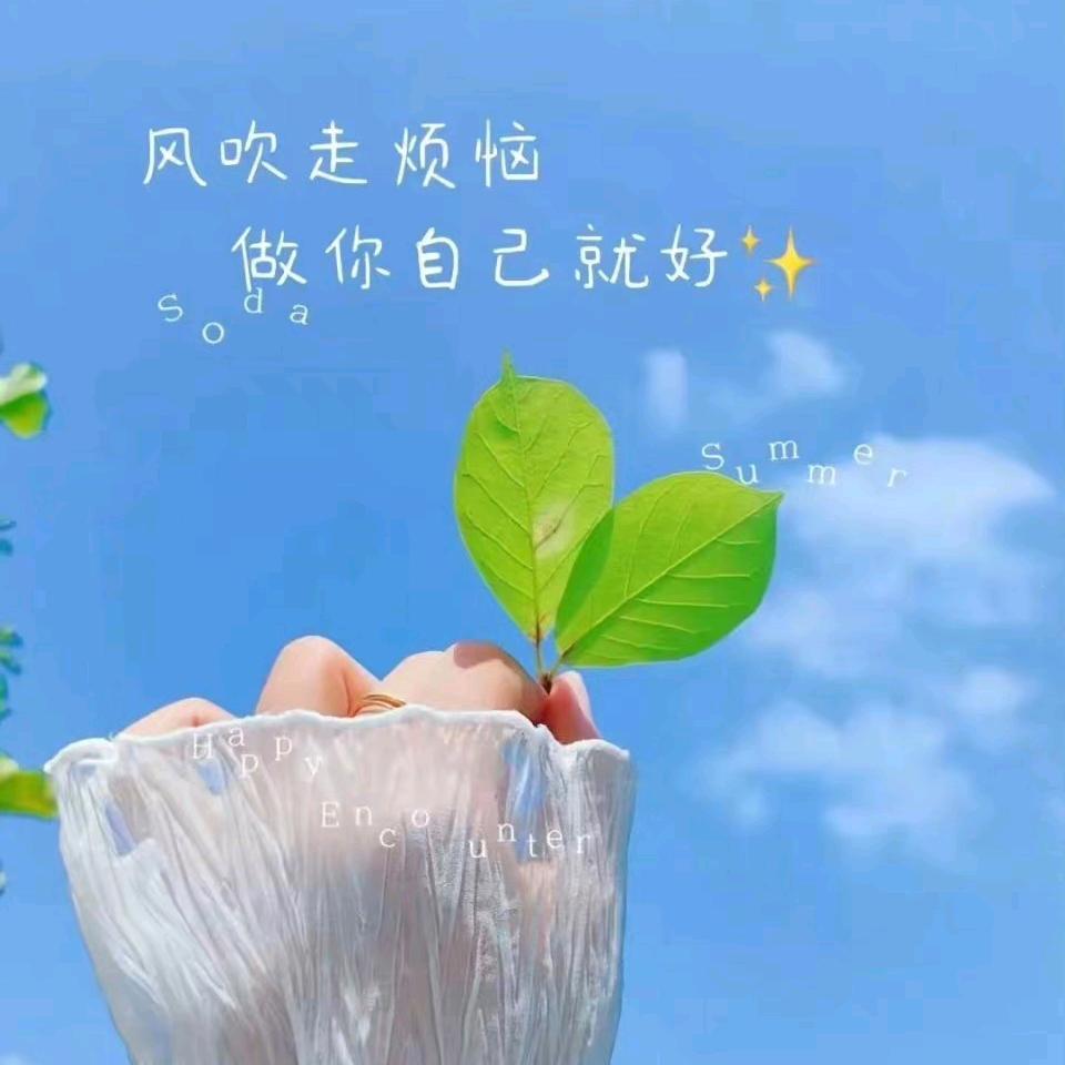 ✩°̥࿐୨୧云淡风轻✩°̥࿐୨୧