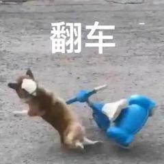 兔兔肉o>_<o