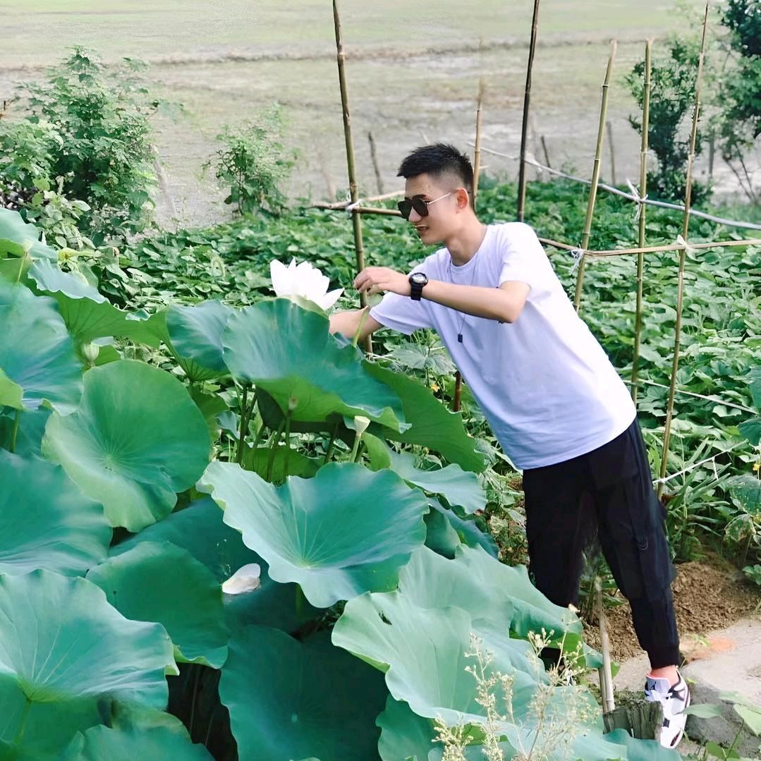 大脸喵花卉盆景