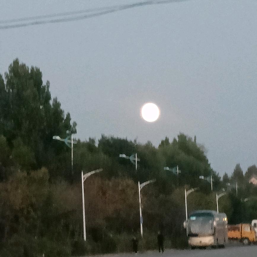 用户梁萤7402017235572