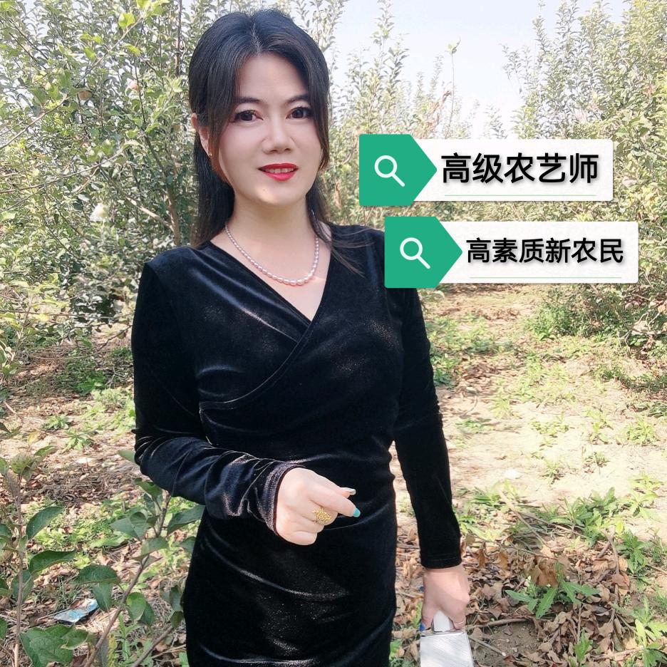 虞城县拾壹·金蝉养殖