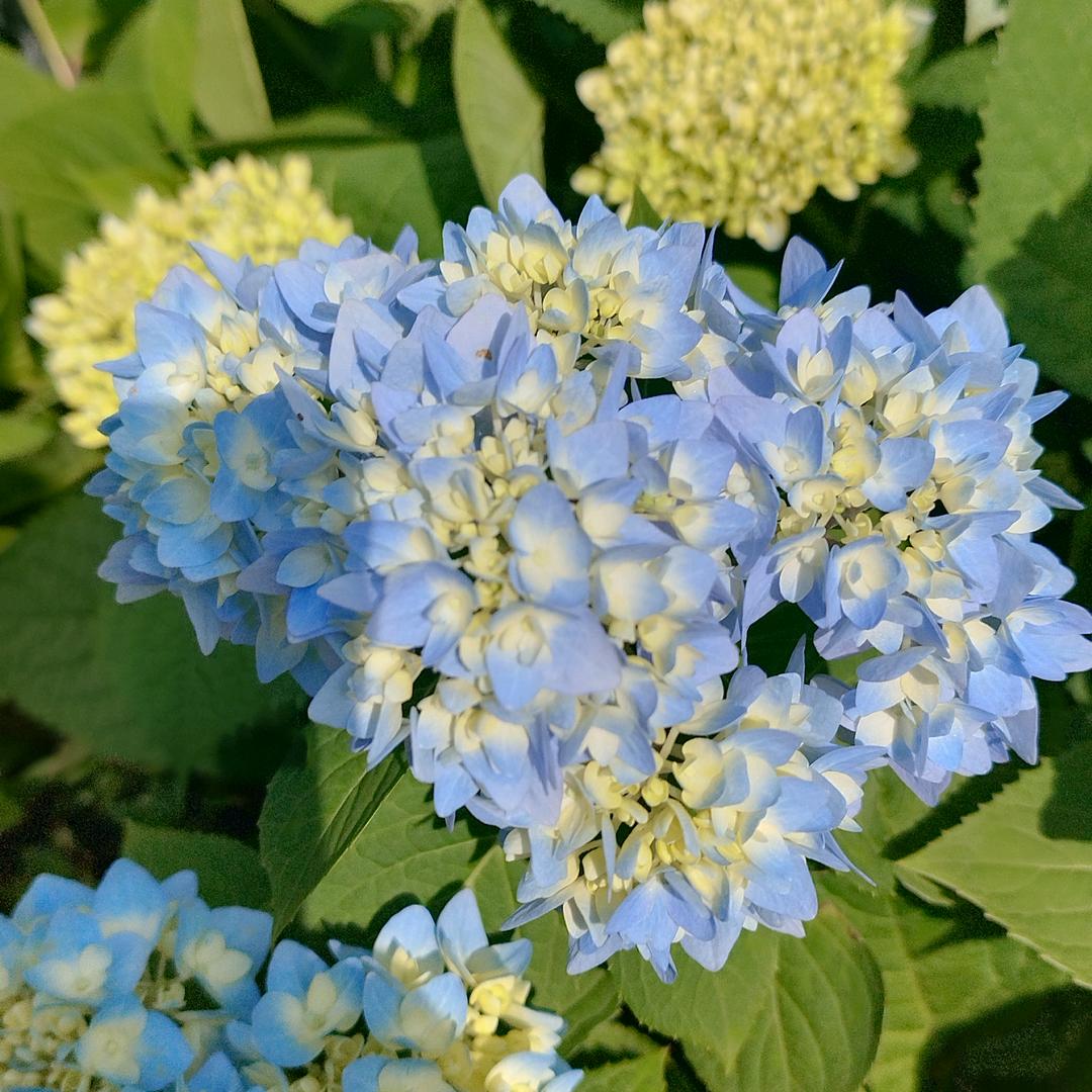 ღ᭄ℒℴѵℯ星空᭄💕