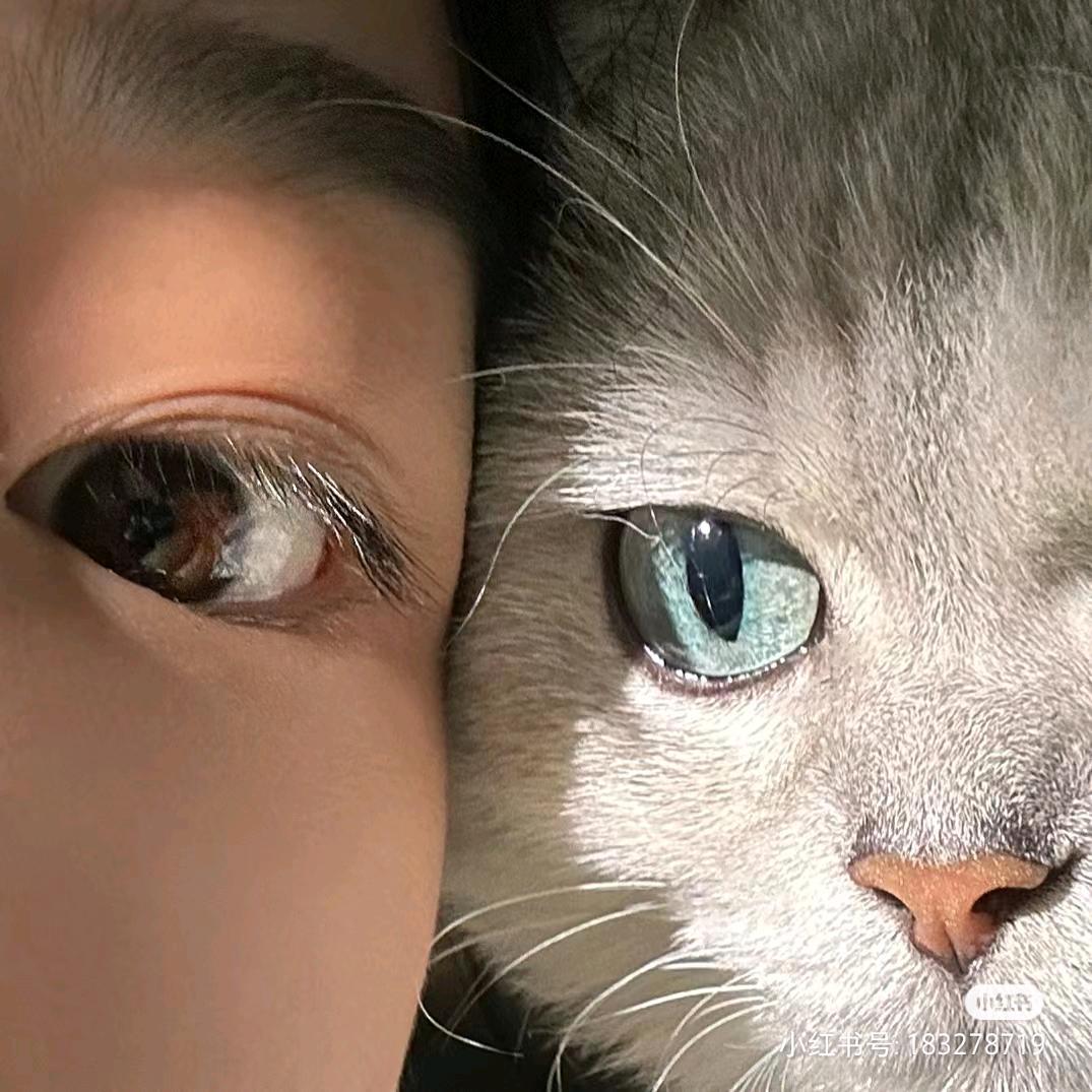 迈穗