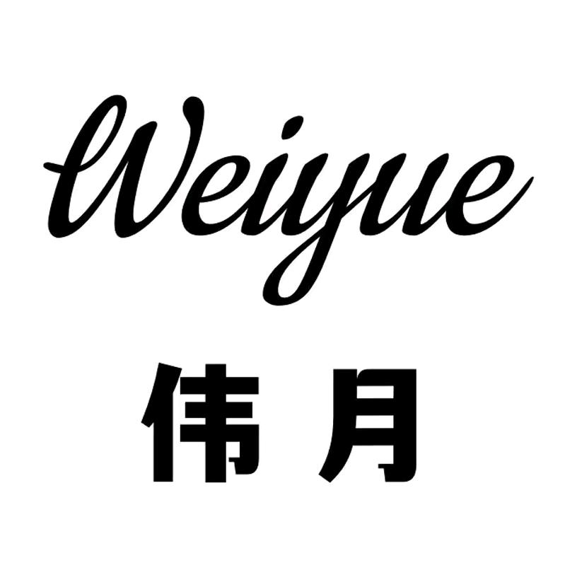 伟月近视太阳镜