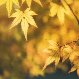 🧡ྀི💛ྀི❤️ྀི