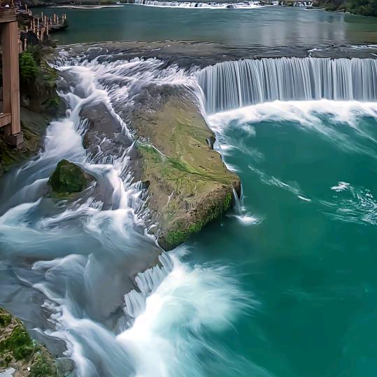 🍀🍀🍀🍀朋友🌴