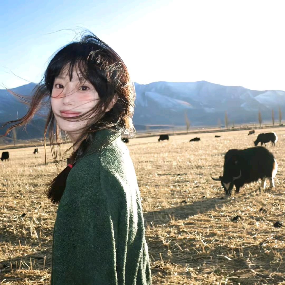 小张想去西藏