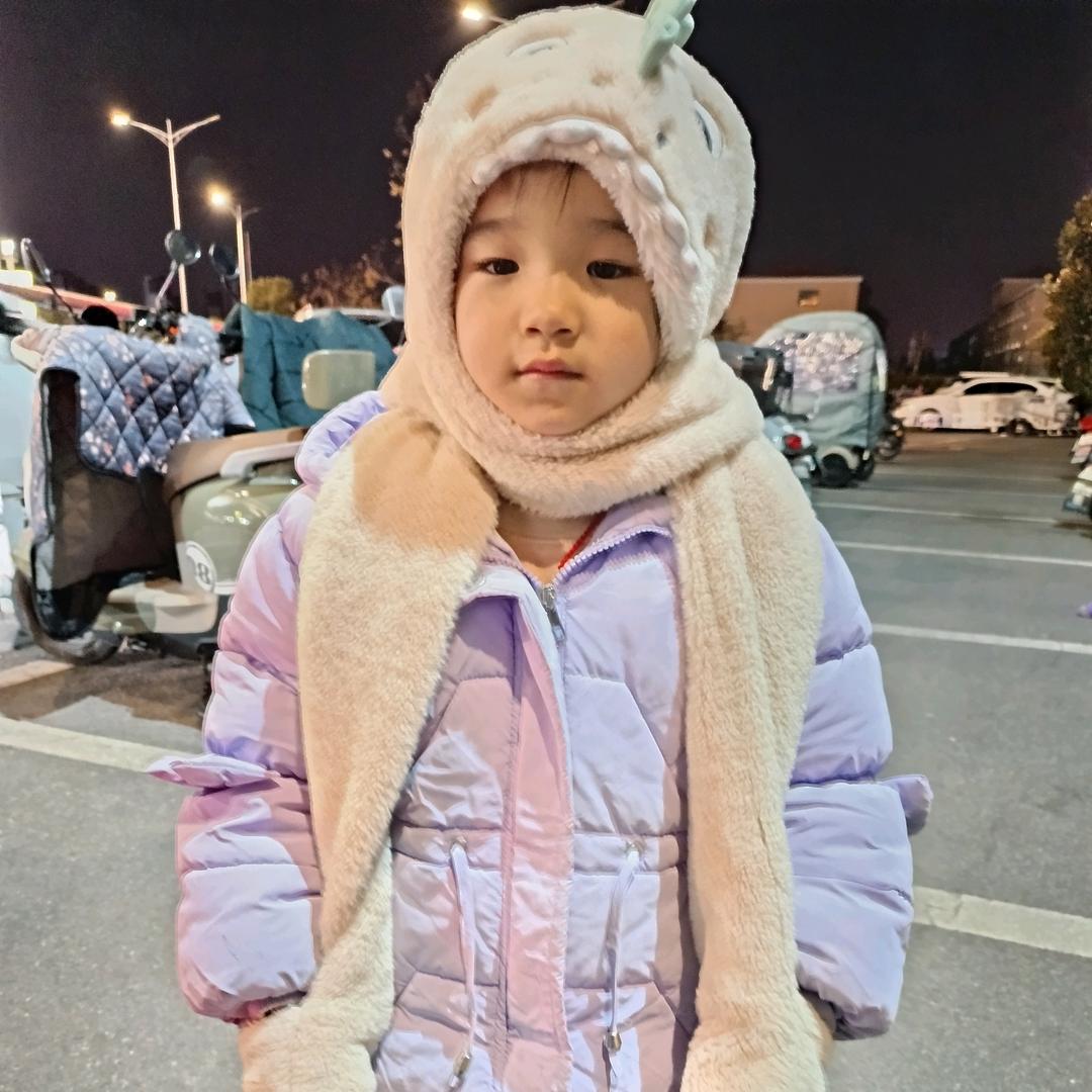 也无风雨也无晴