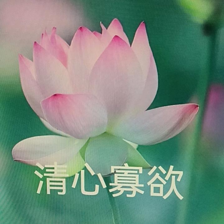 牛仔 咻 木 仓