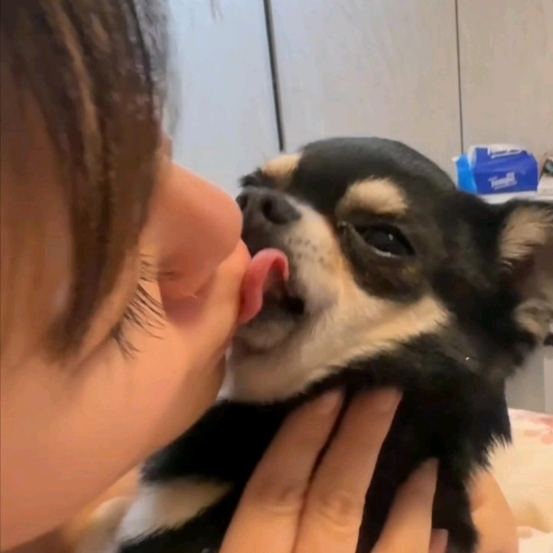 班主任