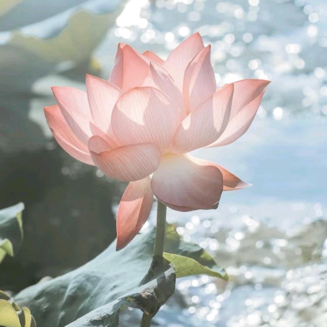 平安是福