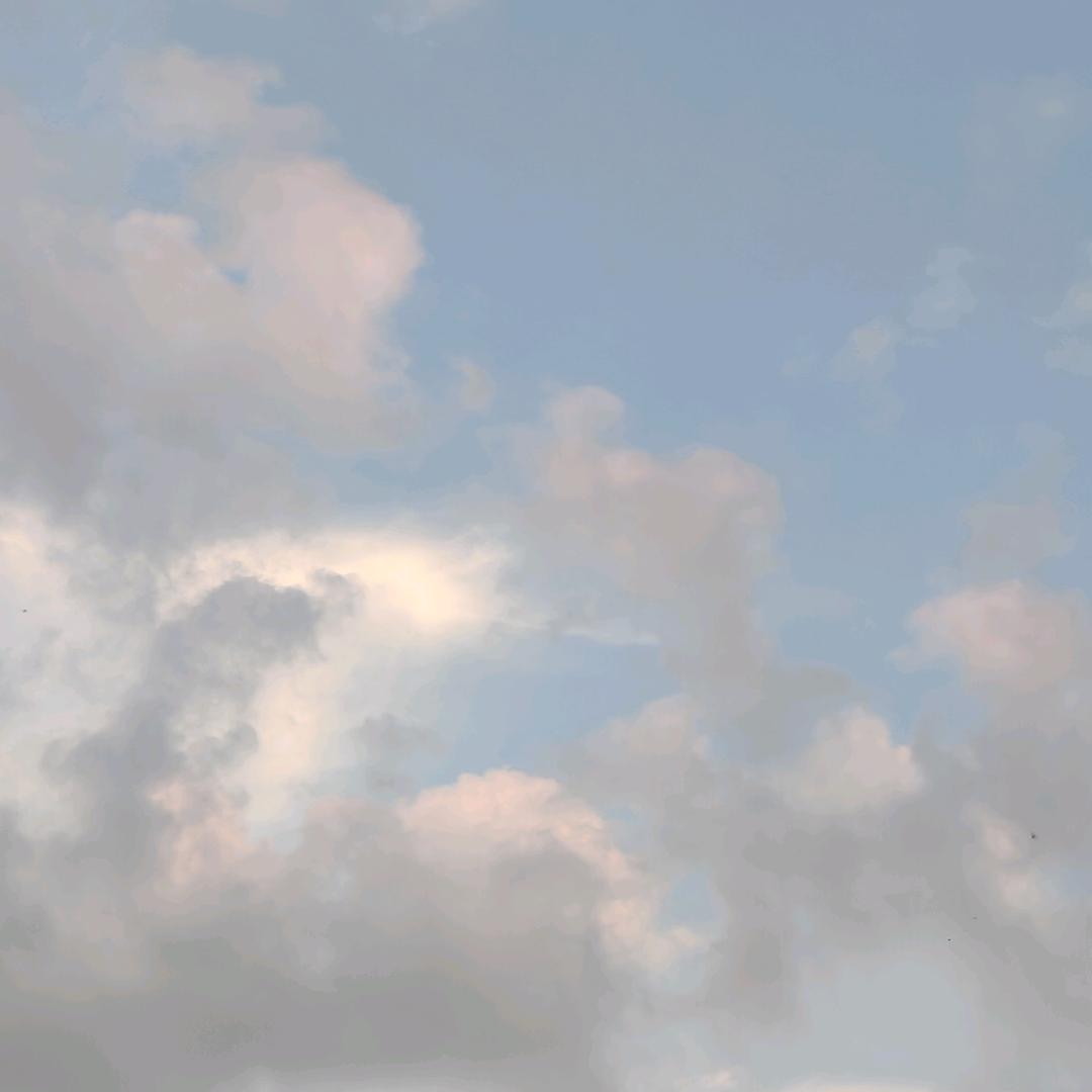 林同学