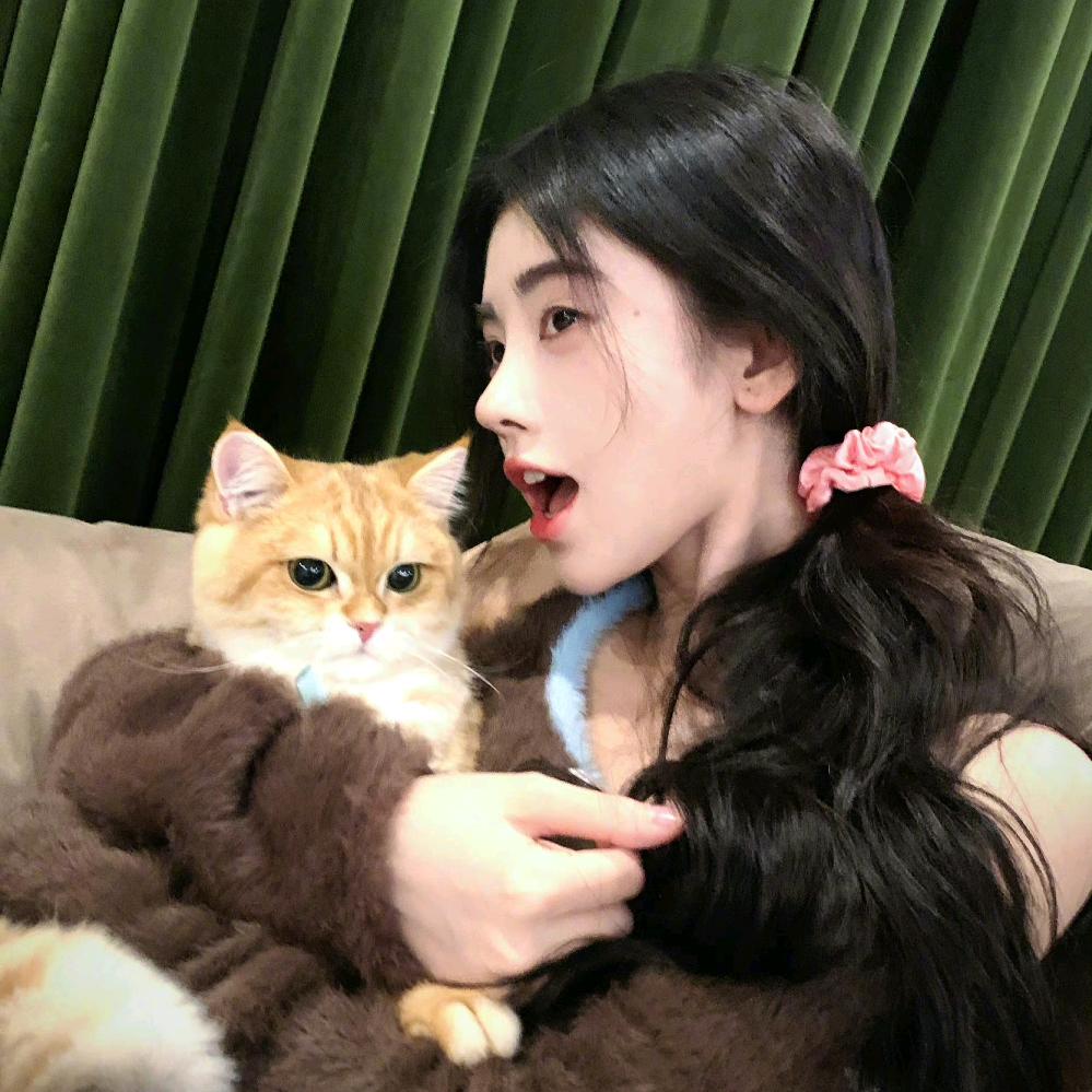 阿鱼不吃葱