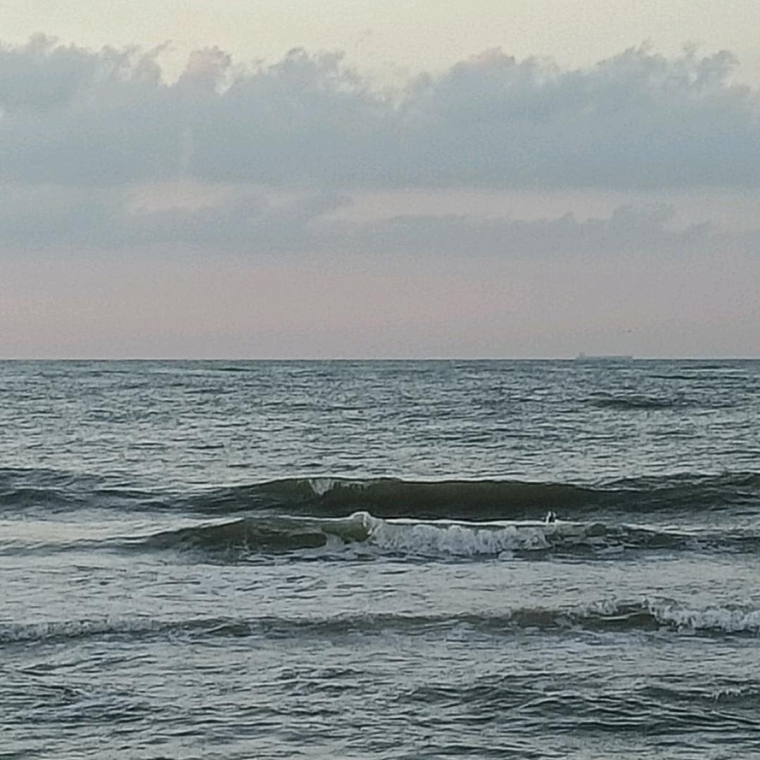 静随心变-楠