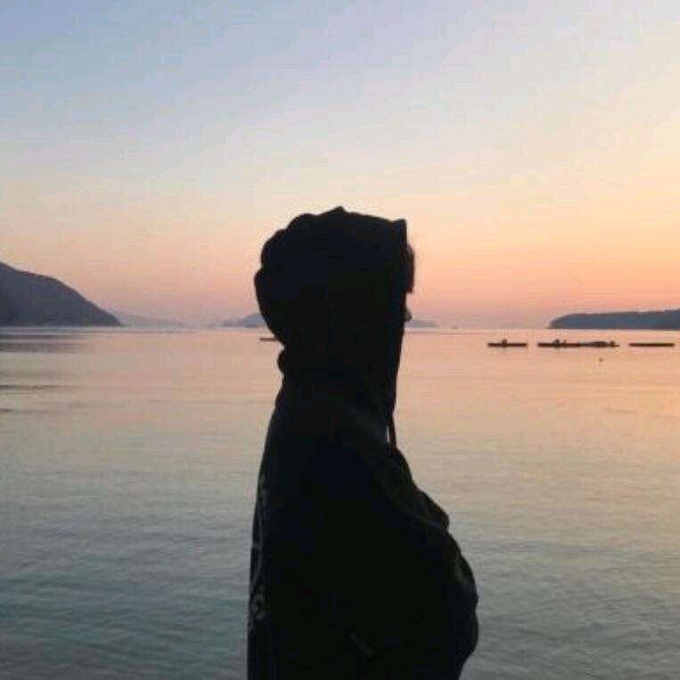 放荡的野马