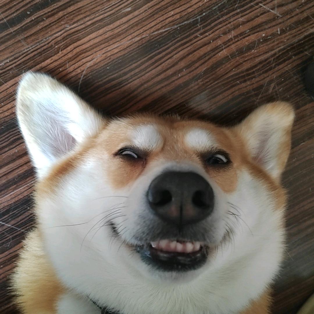 炸炸