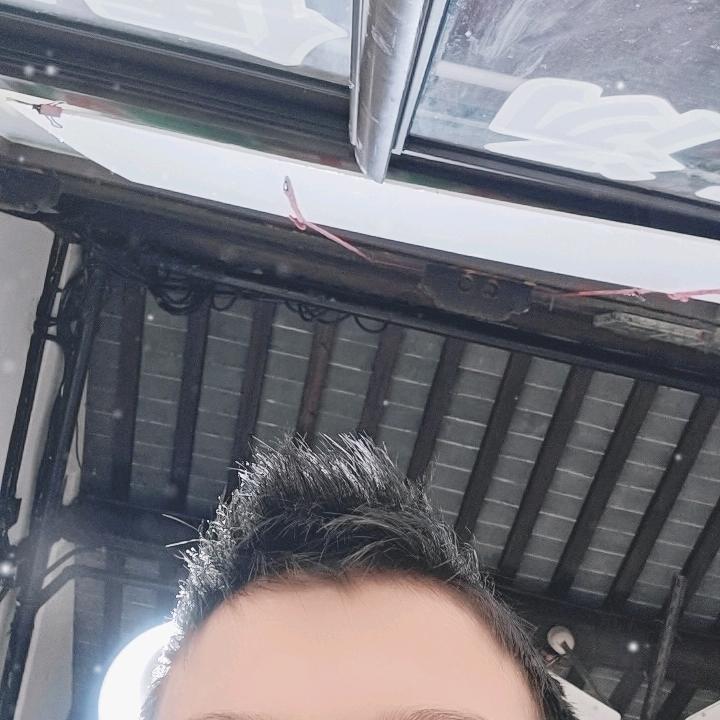 卡丘