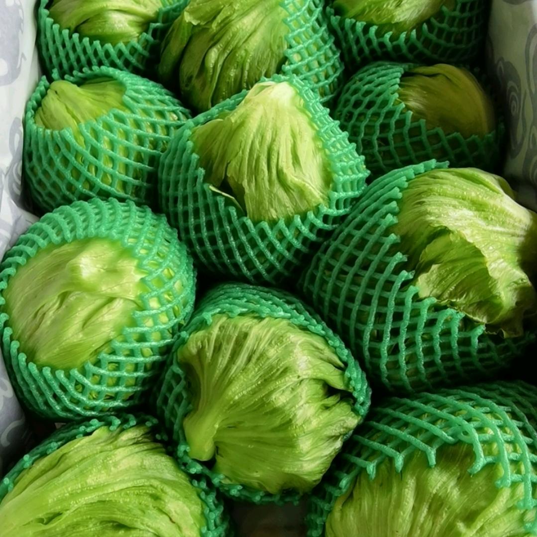 蔬菜鲜生