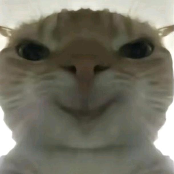 怏北