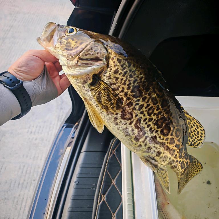 刘龟蜜（路亚佬）